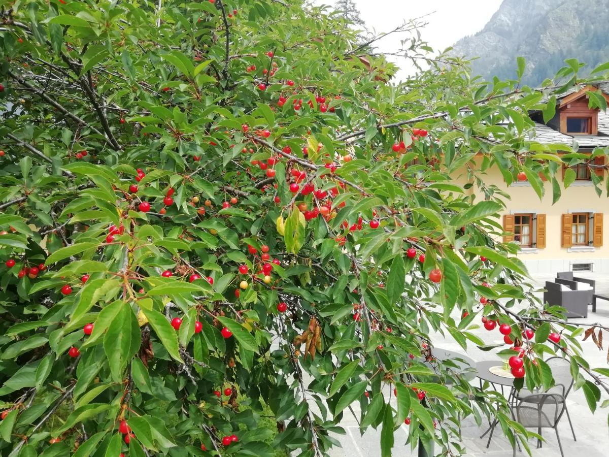 Villa Fridau Resort Gressoney-Saint-Jean Ngoại thất bức ảnh